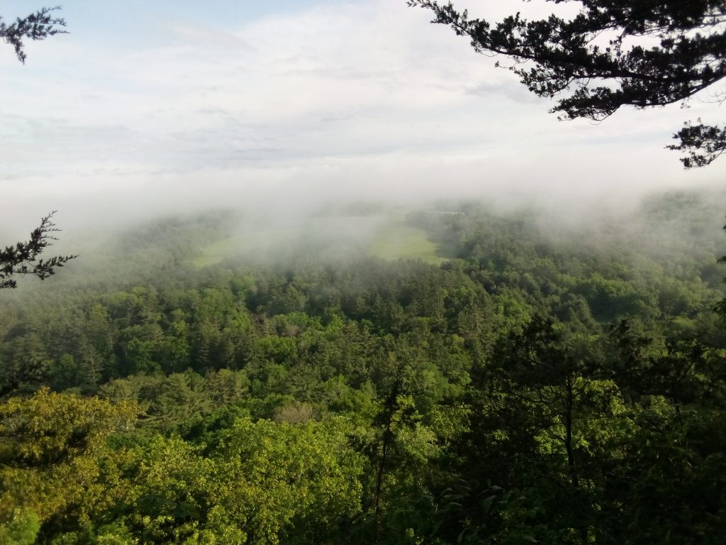 morning fog over the Kickapoo Valley