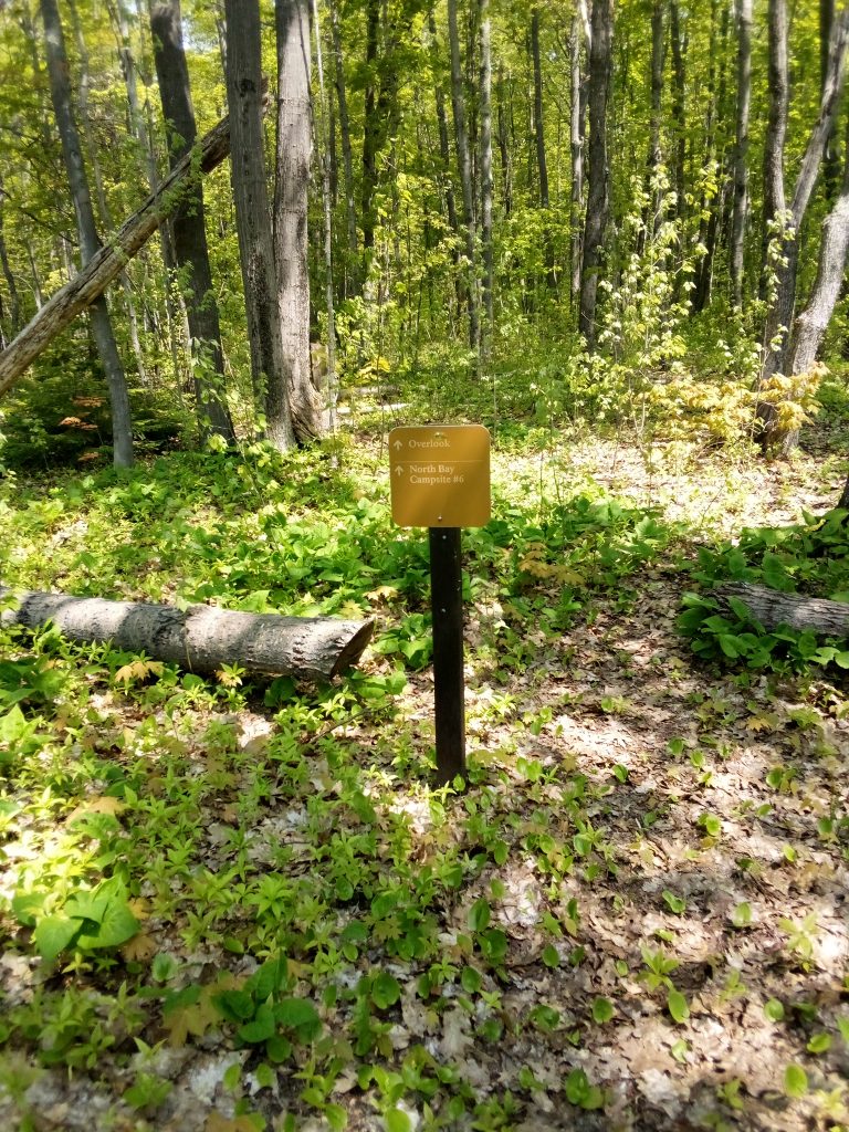 trail marker sign against a background of trees
